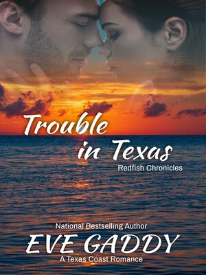 cover image of Trouble in Texas